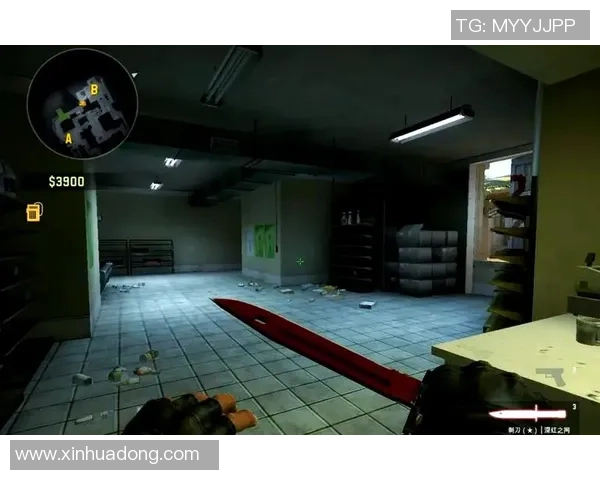 FPX战队在CSGO中的防守策略解析与战术布局探讨 FPX战队在CSGO中的防守策略解析与战术布局探讨