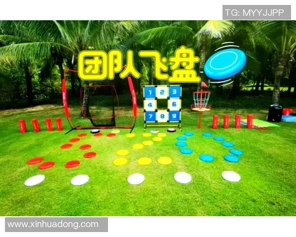 南京飞盘队的奋斗与荣耀：一段激情澎湃的飞盘纪实之旅