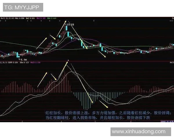 深入分析深圳乒乓球队包夹打法的战术特点与实战应用