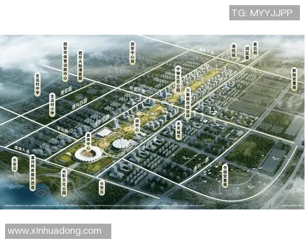 独家解析西安足球队速度优势与劣势的全面对比分析